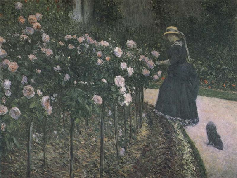 Gustave Caillebotte Some Rose in the garden oil painting image